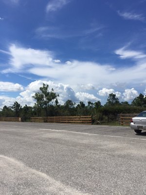 Fred C. Babcock/Cecil M. Webb Wildlife Management Area by null