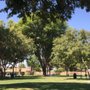 Walnut Park