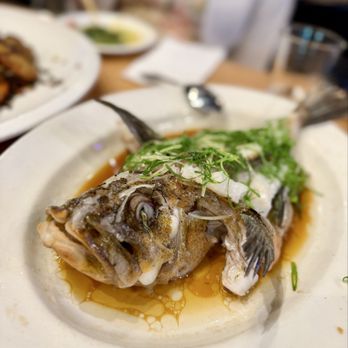 The Fish Man - Steamed rockfish - Seafood Near Me - Richmond, British Columbia The Fish Man - Steamed rockfish - Seafood Near Me - Richmond, British Columbia