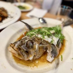 The Fish Man - Steamed rockfish