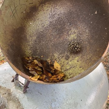 Ozark Fun Rentals - Top of propane tank has been open long enough for a large hornets' nest to form - Vacation Rentals Near Me Ozark Fun Rentals - Top of propane tank has been open long enough for a large hornets' nest to form - Vacation Rentals Near Me