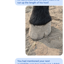 Happy Hoofbeats - Audra Morin - Text 2