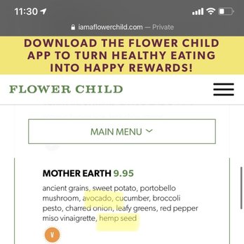 Flower Child - Salad Near Me - Phoenix, Arizona Flower Child - Salad Near Me - Phoenix, Arizona