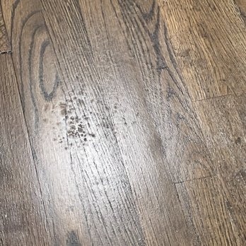 Harrison Hardwoods - Guess what, more fish eyes. - Flooring Near Me