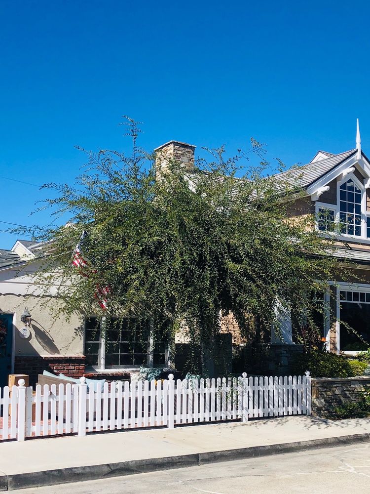 EVERGREEN TREE SERVICE 18 Reviews Tree Services 1442