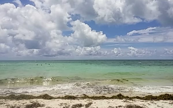 Sandspur Beach by null