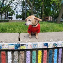 Senior Citizens Park