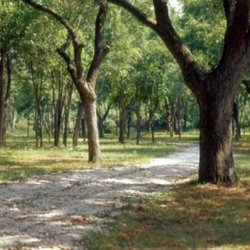 Crowterre Equestrian - Miles of trails!