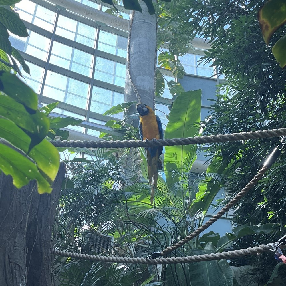Audubon Aquarium - Aquariums Near Me - New Orleans, Louisiana Audubon Aquarium - Aquariums Near Me - New Orleans, Louisiana