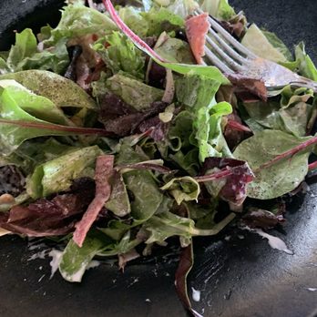 Mutt Lynch's - The Alora Salad. - Pubs Near Me - Newport Beach, California Mutt Lynch's - The Alora Salad. - Pubs Near Me - Newport Beach, California
