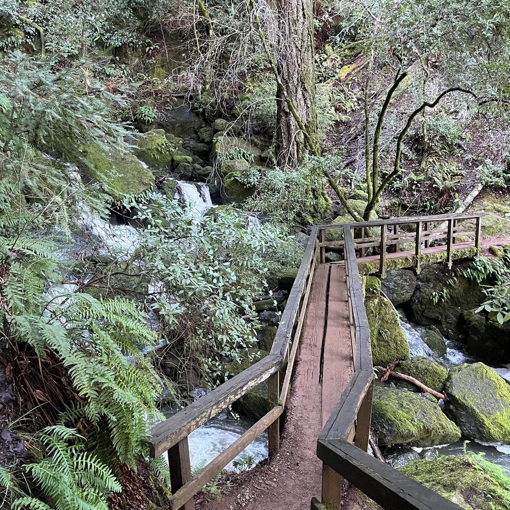 Cataract Falls Trail - Footbridge - Hiking Near Me Cataract Falls Trail - Footbridge - Hiking Near Me