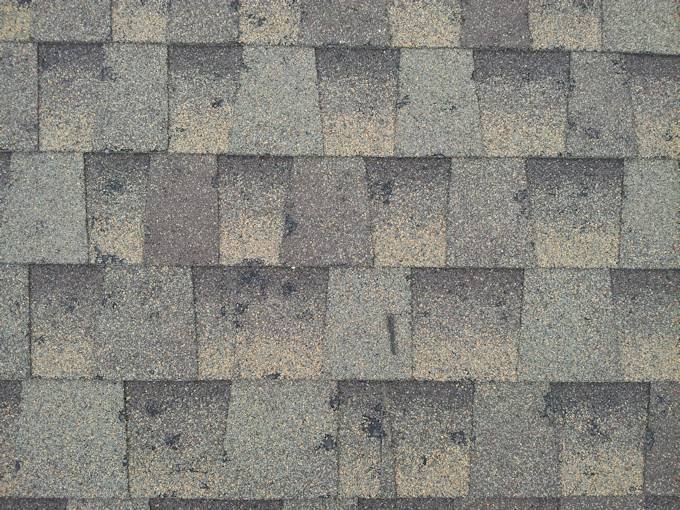 Slide of Roofing Pioneers