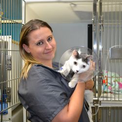 Saint Francis Veterinary Specialists and Emergency