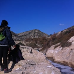 Pantano de Elche