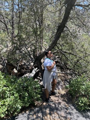 Timpanogos Cave National Monument by null