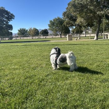Barkin' Basin Dog Park - Dog Parks Near Me - Las Vegas, Nevada