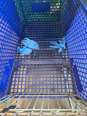 Patel Brothers by null