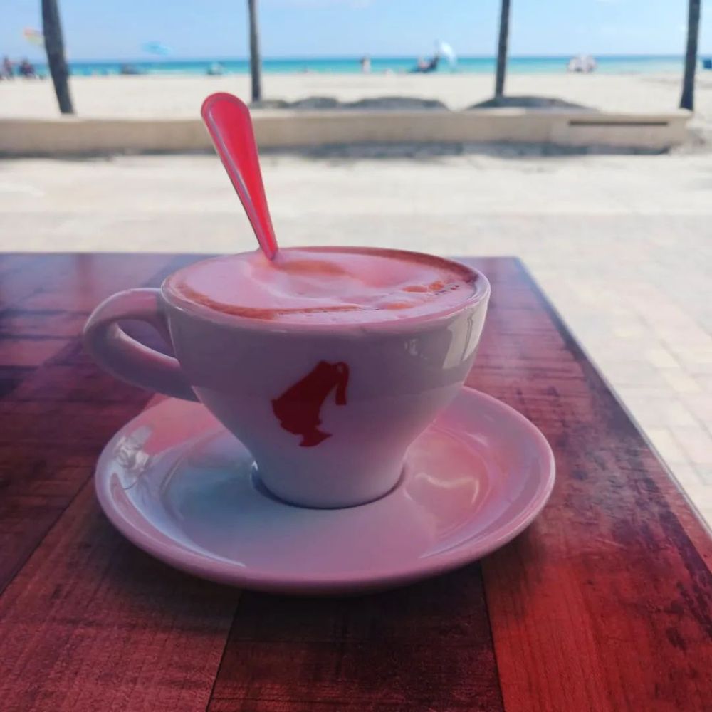 Why Not - Cappuccino and a beautiful view - Seafood Near Me - Hollywood, Florida Why Not - Cappuccino and a beautiful view - Seafood Near Me - Hollywood, Florida