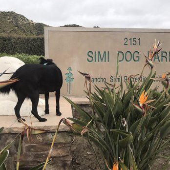 Rancho Simi Recreation & Park District - "AMAZING Dog Park "  Absolute MUST!!!! This is "CIRI" Simi Valley Dog Park is her favorite. - Dog Parks Near Me - Simi Valley, California