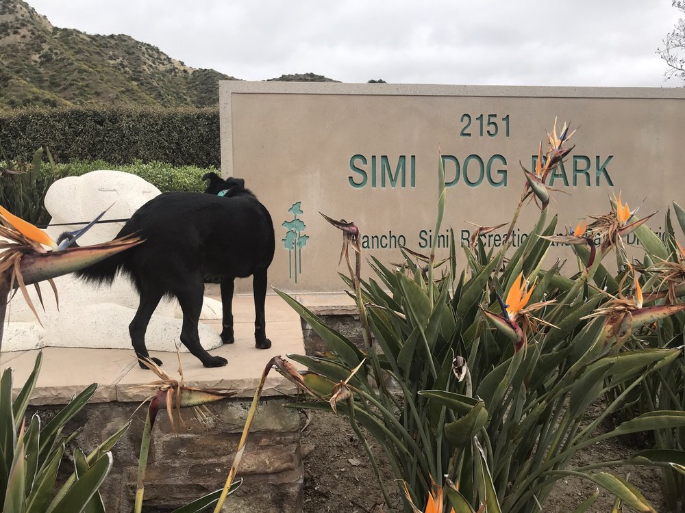 SIMI DOG PARK 100 Photos & 105 Reviews 2151 Lost Canyons Dr, Simi