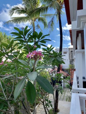 Hey! Jude Resort Hotel by null