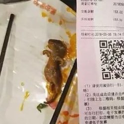 China One - A rodent