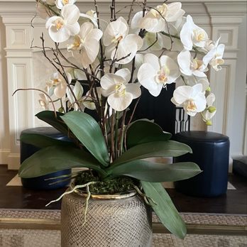Nicholson-Hardie - Faux orchid that is perfect! - Nurseries & Gardening Near Me - Dallas, Texas Nicholson-Hardie - Faux orchid that is perfect! - Nurseries & Gardening Near Me - Dallas, Texas
