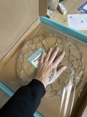 T-Rex Cookie Company by null