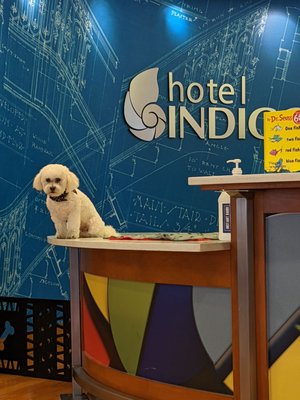 Hotel Indigo Columbus Architectural Center, an IHG Hotel by null
