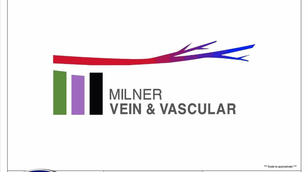 MILNER VEIN AND VASCULAR 5700 Hillandale Drive Ste 150, Lithonia