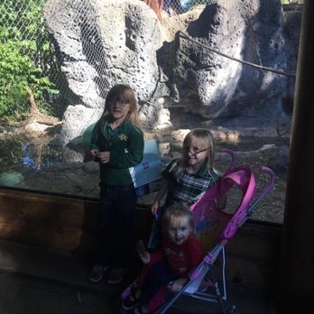 The Islands - November 2016 - Zoos Near Me - Louisville, Kentucky The Islands - November 2016 - Zoos Near Me - Louisville, Kentucky