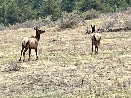 Windy Saddle Park by null