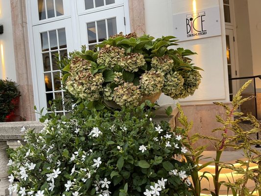 BiCE Ristorante - Palm Beach by null