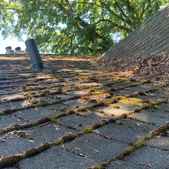 Islander exterior cleaning - Roof with moss on it - Gutter Services Near Me - Victoria, British Columbia Islander exterior cleaning - Roof with moss on it - Gutter Services Near Me - Victoria, British Columbia