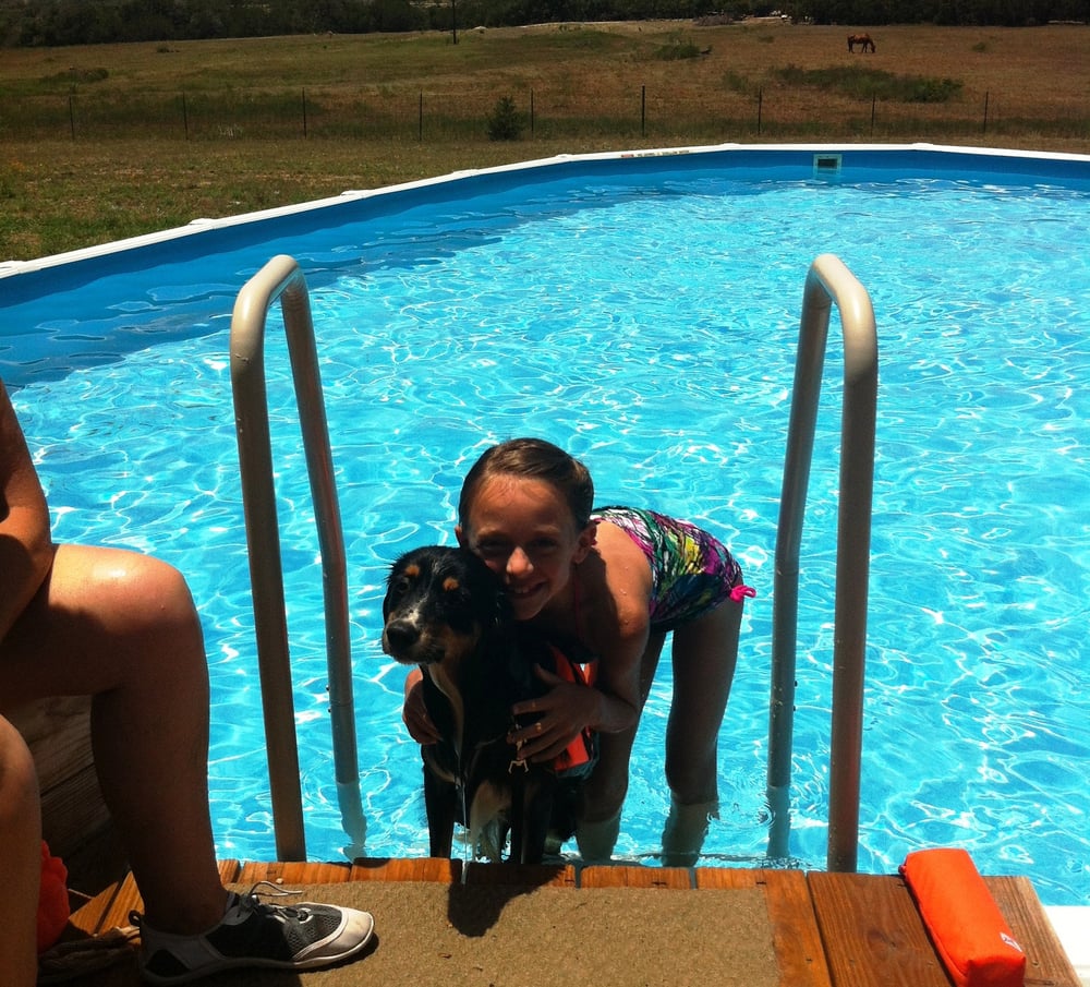HILL COUNTRY PET RANCH 13 Reviews 518 State Hwy 46 E, Boerne, TX Yelp