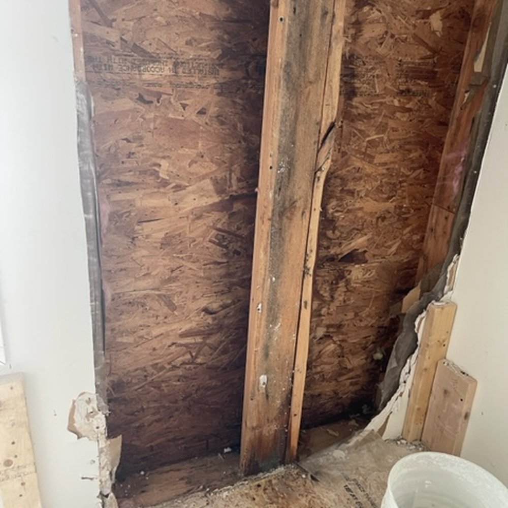 Great Dane Construction - more water damage in a different part of the existing house - General Contractors Near Me - Boscawen, New Hampshire Great Dane Construction - more water damage in a different part of the existing house - General Contractors Near Me - Boscawen, New Hampshire