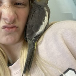 JUST4BIRDS - Updated September 2025 - 38 Photos & 35 Reviews