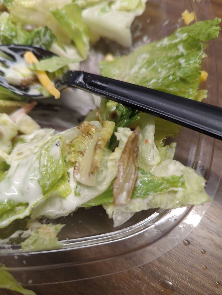 WENDY’S Updated October 2024 2485 Lake Drive, Dyersburg, Tennessee