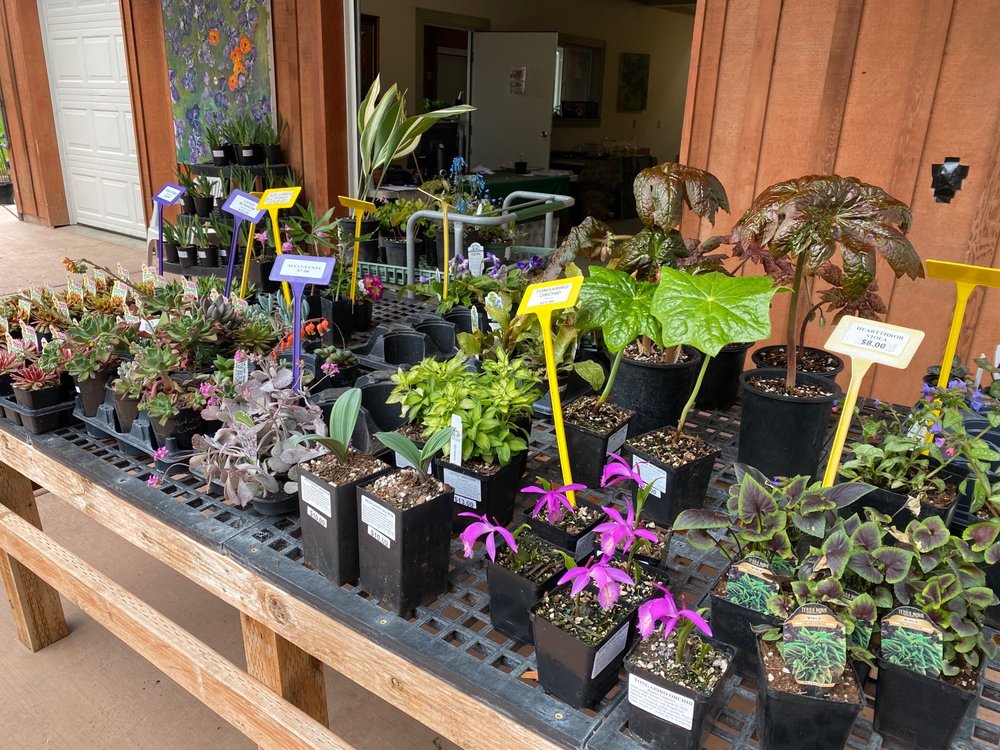 SEBRIGHT GARDENS Updated April 2024 53 Photos 7185 Lakeside Dr NE