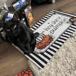 West Side Animal Clinic - My boy