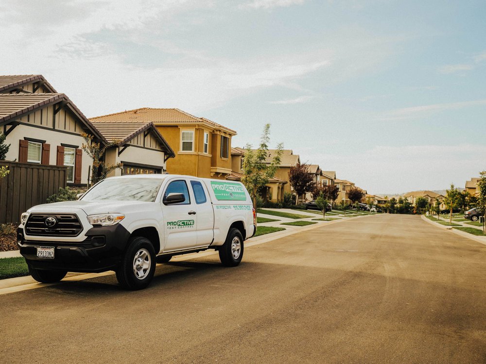 Pro Active Pest Control