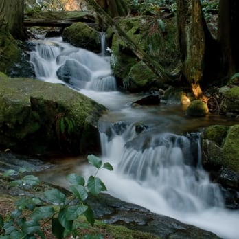 Malcolm Knapp Research Forest - Hiking Near Me - Maple Ridge, British Columbia