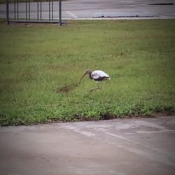 Seasons In The Sun RV Resort - Wildlife