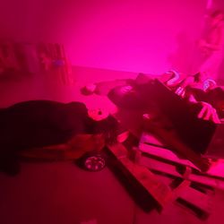 Haunted Halls - Inside haunt