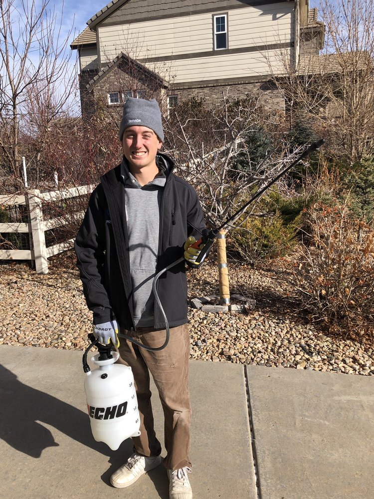 ARMOR PEST DEFENSE 14 Photos & 125 Reviews Pest Control 1850 W Union Ave, Englewood, CO