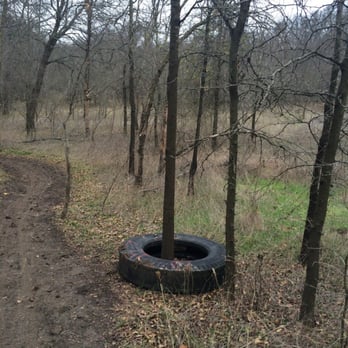 Northshore Mountain Biking Trails - I'm always curious about this tire around the tree. How many  years? A mile thru woods, how and why did it ever get here? - Mountain Biking Near Me - Grapevine, Texas
