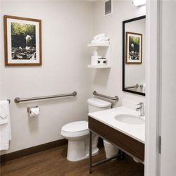 Hampton Inn Summersville - Guest room bath