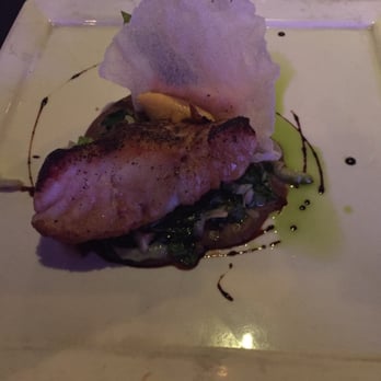 Selva Grill - Sea Bass at Selva - Sarasota - Spanish Near Me - Sarasota, Florida Selva Grill - Sea Bass at Selva - Sarasota - Spanish Near Me - Sarasota, Florida
