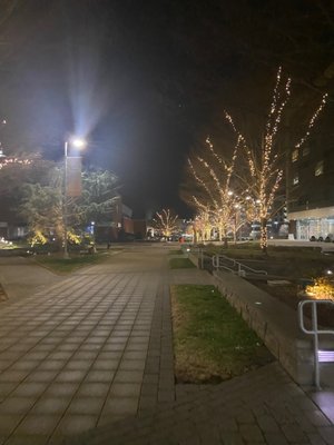 WakeMed Raleigh Campus by null