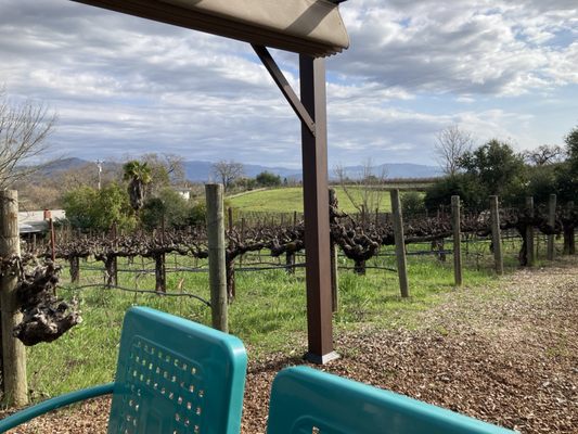 Matthiasson Winery by null